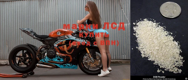 эйфоретик Магадан