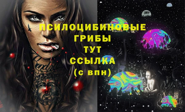 эйфоретик Магадан