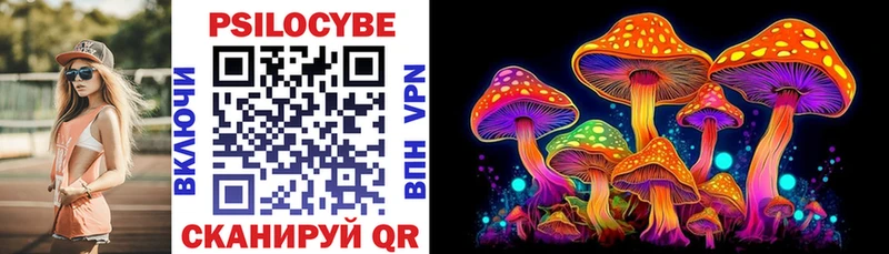 Галлюциногенные грибы Psilocybe  Купить где  Енисейск 